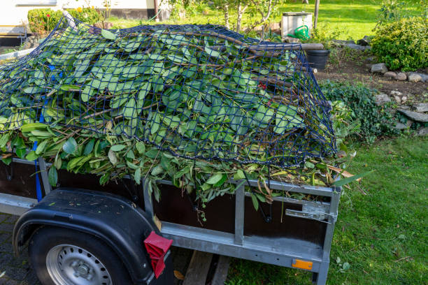 Best Estate Cleanout  in Springfield, MN